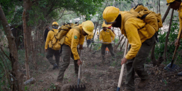 Chiapas refuerza acciones ante la temporada de incendios forestales