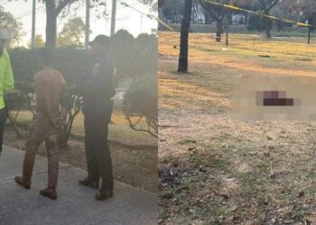 Detienen a indigente en la Gustavo A. Madero por matar y desollar a dos perros para comerlos