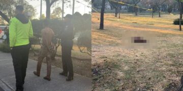 Detienen a indigente en la Gustavo A. Madero por matar y desollar a dos perros para comerlos