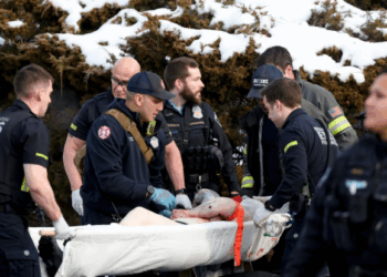 Donald Trump defiende a agente del ICE tras muerte de mujer en Minnesota