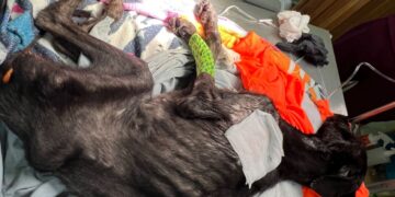 Fortalece DIF Benito Juárez la protección de niñas, niños y adolescentes con acciones contra el trabajo infantil