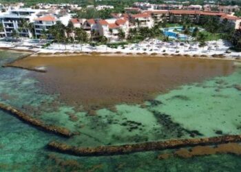 «Analizan inversión de 6.6 millones de pesos en barreras contra el sargazo en Puerto Aventuras»