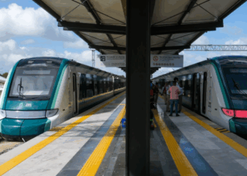 Sheinbaum celebra golpe al Tren de Aragua