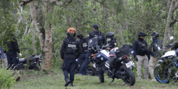 Violenta agresión contra un defensor del Bosque Don Roberto en Veracruz