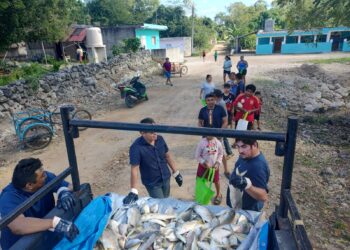 «El programa “Del mar a tu mesa” continúa apoyando a familias de Lázaro Cárdenas»