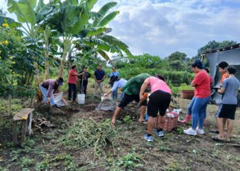 «Estudiantes de la Universidad para el Bienestar Benito Juárez participan en proyectos de cultivo»
