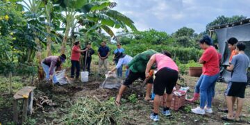 «Estudiantes de la Universidad para el Bienestar Benito Juárez participan en proyectos de cultivo»