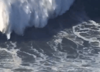 ebastian Steudtner conquista oficialmente la ola más grande jamás registrada