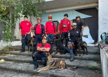 Entrenamiento K9 Cancún fortalece la respuesta ante emergencias