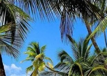 Costa Mujeres consolida su liderazgo turístico en Quintana Roo