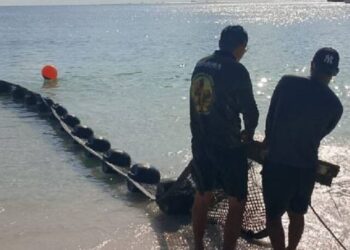 Sargazo en Quintana Roo: Marina refuerza estrategia permanente en 2026