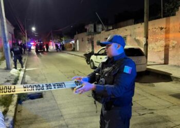 Maltrato animal: La historia de Blakie que evidenció el abandono y la solidaridad en Quintana Roo