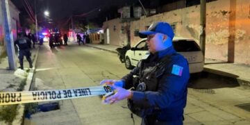 Maltrato animal: La historia de Blakie que evidenció el abandono y la solidaridad en Quintana Roo