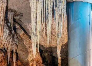 Sélvame MX denuncia columnas dañadas en el tramo 5 Sur del Tren Maya