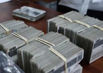 Credenciales INE: destruyen más de 25 mil en Quintana Roo