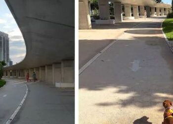 Analizan construir megaparque en la región 228 de Cancún, similar al de La Plancha en Mérida