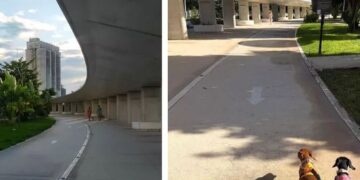 Analizan construir megaparque en la región 228 de Cancún, similar al de La Plancha en Mérida