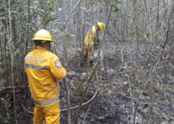 Alerta en Playa del Carmen por el riesgo de incendios forestales
