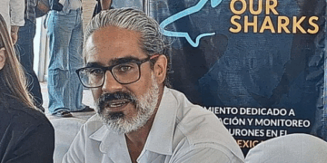 Buscan crear el primer refugio pesquero para proteger tiburones en el Caribe Mexicano