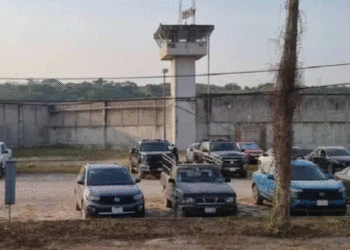 🚨 Continúa la cacería en Puerto Vallarta: así avanza la búsqueda de los reos fugados tras el ataque del CJNG