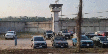 🚨 Continúa la cacería en Puerto Vallarta: así avanza la búsqueda de los reos fugados tras el ataque del CJNG