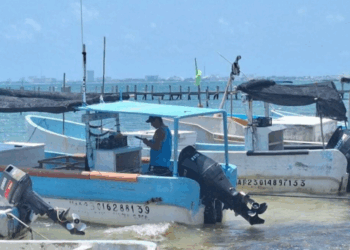 Crisis en la pesca en Quintana Roo: mal clima paraliza la actividad en la zona sur