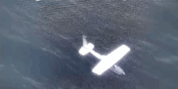 "Detectan narcoavioneta con más de media tonelada de cocaína en Oaxaca"