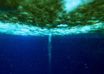 El «helado dedo de la muerte»: un extraño fenómeno que congela los fondos polares