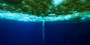 El «helado dedo de la muerte»: un extraño fenómeno que congela los fondos polares