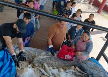 "Gran éxito del programa alimentario "Del mar a tu mesa" en Lázaro Cárdenas"