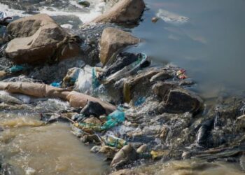 «Saneamiento del río Atoyac revela miles de descargas contaminantes en su cuenca»