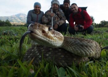«Violencia contra científicos vuelve a quedar expuesta tras secuestro de biólogo en Veracruz»
