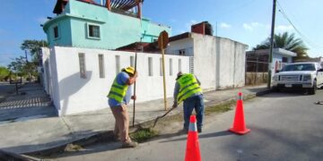 Intensifican trabajos preventivos para evitar inundaciones en Othón P. Blanco