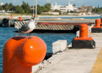 Inversión de 3 millones de pesos reforzará el muelle fiscal de Puerto Morelos