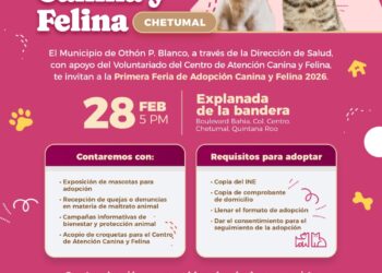 Invitan a la gran Feria de Adopción en Chetumal para mascotas