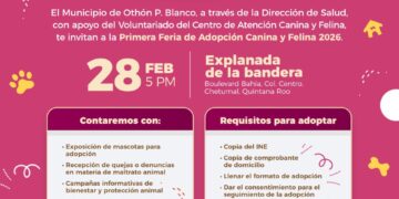 Invitan a la gran Feria de Adopción en Chetumal para mascotas