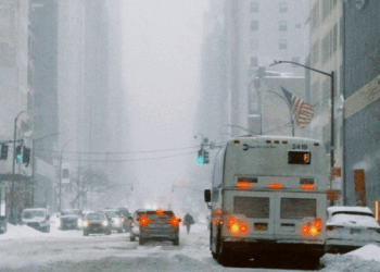 Alerta por los Fallecidos por Frío Extremo en las Calles de Nueva York