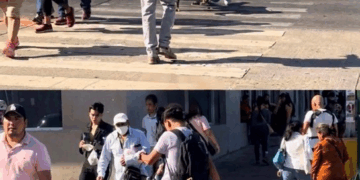 "Polémica en Tampico un joven patea a un “therian cocodrilo”"