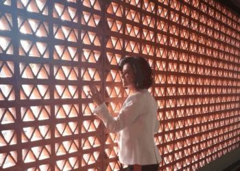 Retoman proceso legal por el caso de tortura contra Lydia Cacho