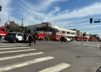 Tragedia en Los Ángeles: Conductora de 92 años causa un fatal accidente automovilístico