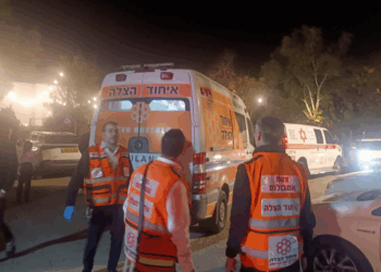 Un novio sufre un paro cardíaco en plena celebración de su boda