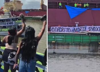 Brasil no es colonia: protestan contra dragado en la Amazonía y toman carguero de Cargill