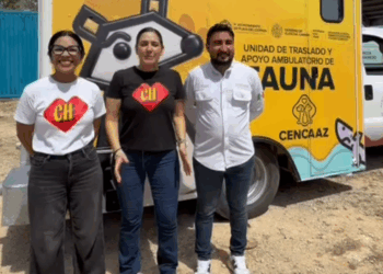 Playa del Carmen impulsa el bienestar animal en con nueva unidad de rescate de fauna silvestre