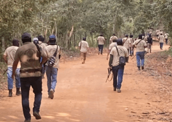 Denuncian graves ataques de 'Los Ardillos' contra comunidades en Guerrero