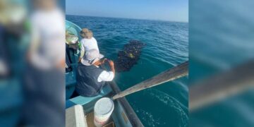 Investigaciones apuntan a una “chapopotera” como causa del hidrocarburo en el mar