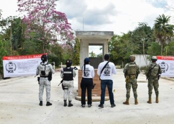 "Investigan posibles delitos ambientales en desarrollo inmobiliario de Benito Juárez"