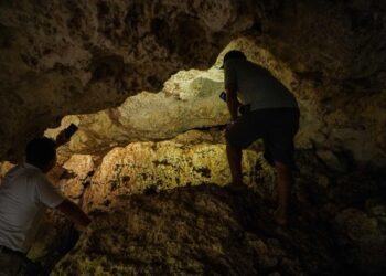 "Lázaro Cárdenas abre su selva: El nuevo mapa del turismo de aventura en el sur"