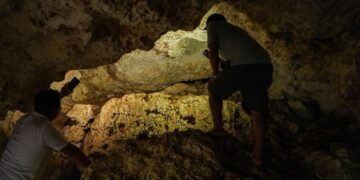 "Lázaro Cárdenas abre su selva: El nuevo mapa del turismo de aventura en el sur"