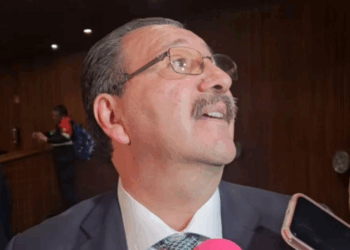 PT advierte que la nueva reforma electoral podría desaparecer el papel de los partidos