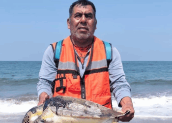 Pescadores de Pajapan exigen una justa indemnización por derrame de hidrocarburo